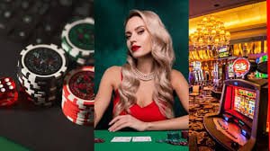 parisklub login Hood vs Wolf live-dealer table with multi-camera angles